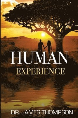 bokomslag Human Experience