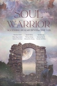 bokomslag Soul Warrior