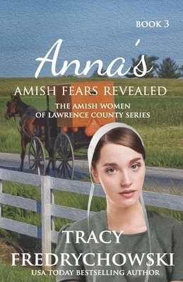 bokomslag Anna's Amish Fears Revealed