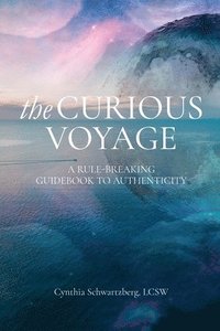 bokomslag The Curious Voyage