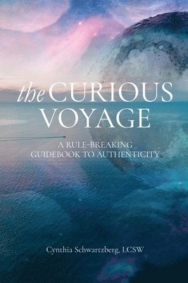 bokomslag The Curious Voyage