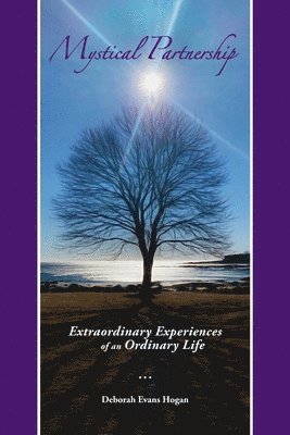 bokomslag Mystical Partnership: Extraordinary Experiences of an Ordinary Life