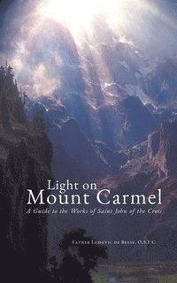 bokomslag Light on Mount Carmel