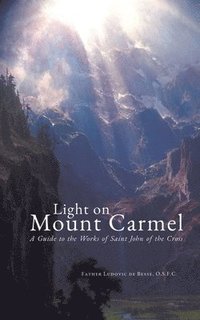 bokomslag Light on Mount Carmel