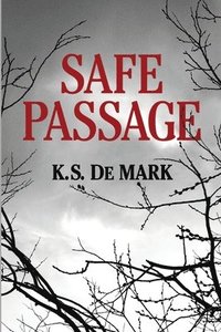 bokomslag Safe Passage