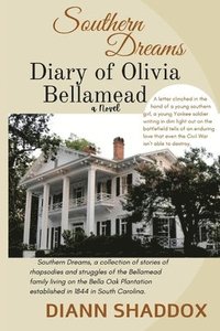 bokomslag Diary of Olivia Bellamead