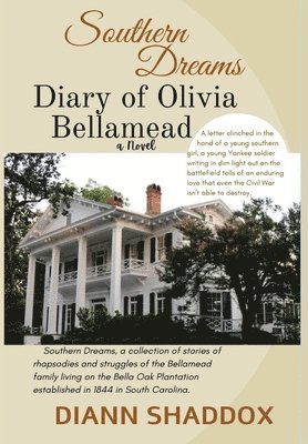 bokomslag Diary of Olivia Bellamead