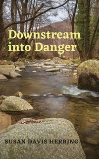 bokomslag Downstream into Danger
