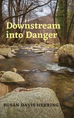 bokomslag Downstream into Danger