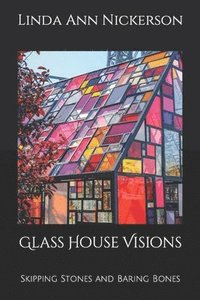 bokomslag Glass House Visions