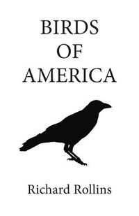 bokomslag Birds of America