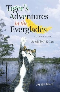 bokomslag Tiger's Adventures in the Everglades Volume Four