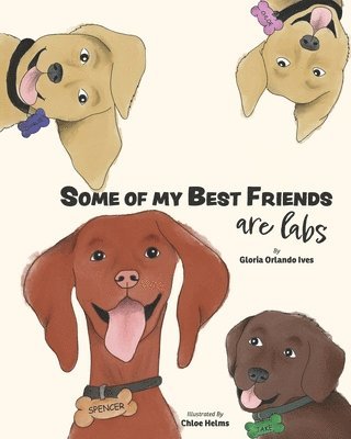 Some of My Best Friends are Labs 1