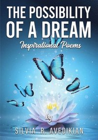 bokomslag Possibility of a Dream