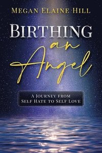 bokomslag Birthing an Angel