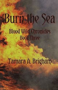 bokomslag Burn the Sea