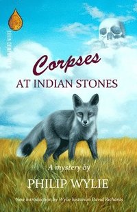 bokomslag Corpses at Indian Stones