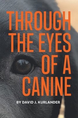 David J Kurlander, David J. Kurlander, J. Kurlander, David - Through the Eyes of a Canine, Häftad