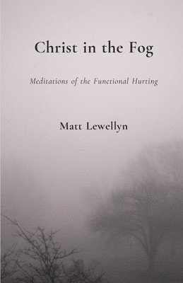 Christ in the Fog: Meditations of the Functional Hurting 1