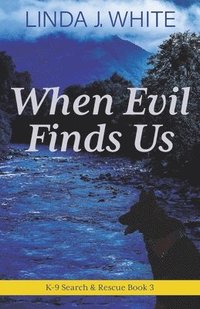 bokomslag When Evil Finds Us