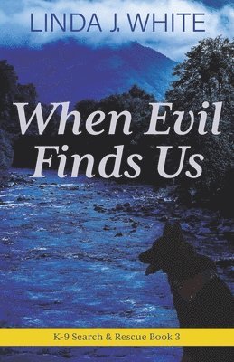 bokomslag When Evil Finds Us