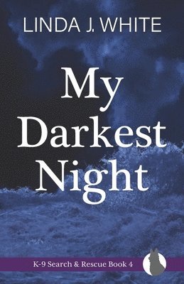 bokomslag My Darkest Night