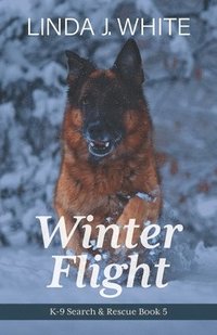 bokomslag Winter Flight
