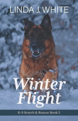 bokomslag Winter Flight