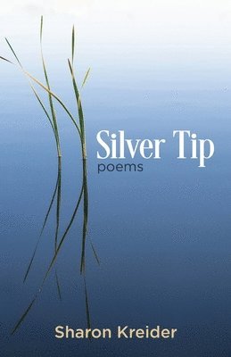 Sharon Kreider - Silver Tip, Häftad