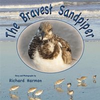 bokomslag The Bravest Sandpiper