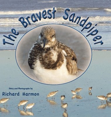 bokomslag Bravest Sandpiper