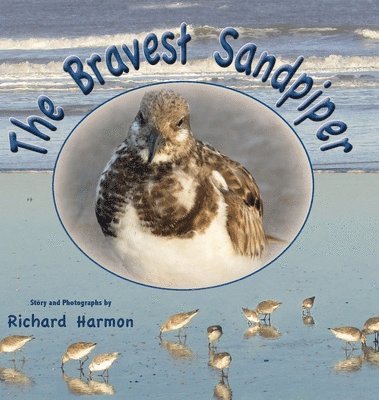 bokomslag The Bravest Sandpiper