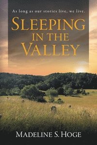 bokomslag Sleeping In the Valley