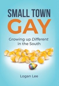 bokomslag Small Town Gay