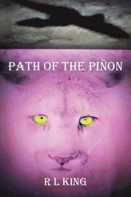 Path Of The Pion 1