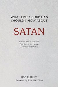 bokomslag What Every Christian Should Know About Satan