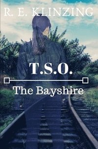bokomslag Bayshire