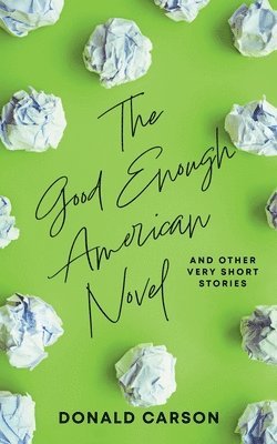 The Good Enough American Novel 1