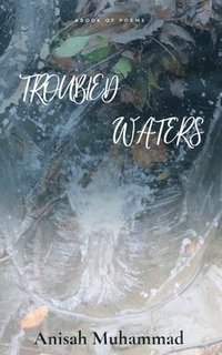 bokomslag Troubled Waters