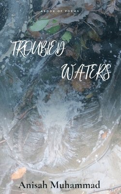 bokomslag Troubled Waters