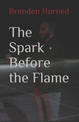 The Spark Before the Flame 1