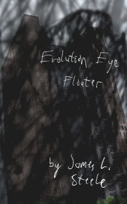 Evolution Eye Floater 1