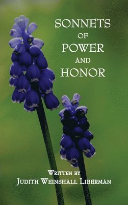 bokomslag Sonnets of Power and Honor