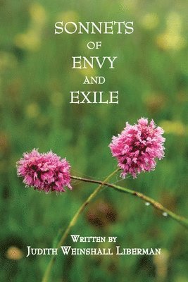 Sonnets of Envy and Exile 1