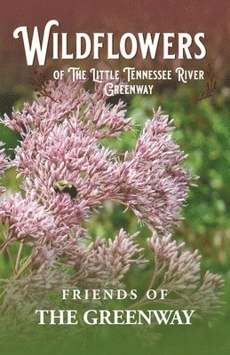 Wildflowers of The Little Tennessee River Greenway 1