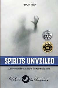 bokomslag Spirits Unveiled