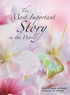 The Most Important Story in the World 1