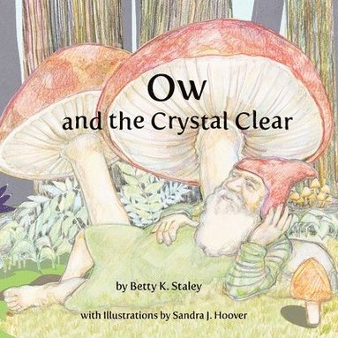 bokomslag Ow and the Crystal Clear