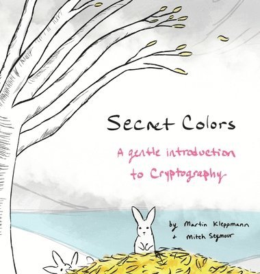 bokomslag Secret Colors