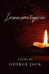 bokomslag Insureomatopoeia